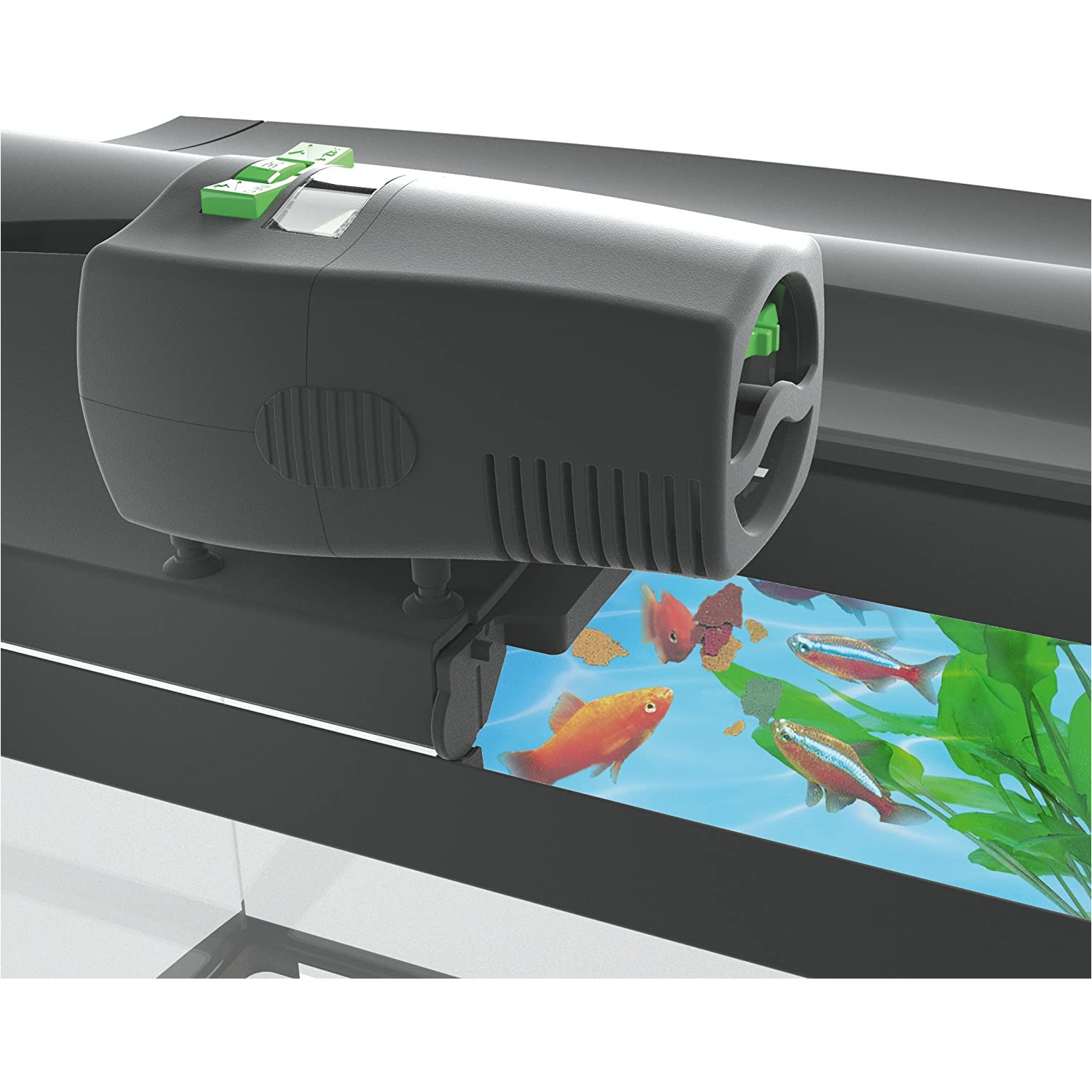 Tetra Automatic Fish Feeder Myfeeder Petway Ltd